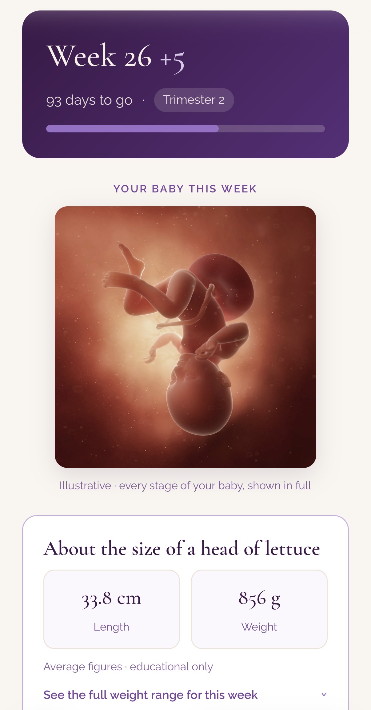 Pregnancy journey